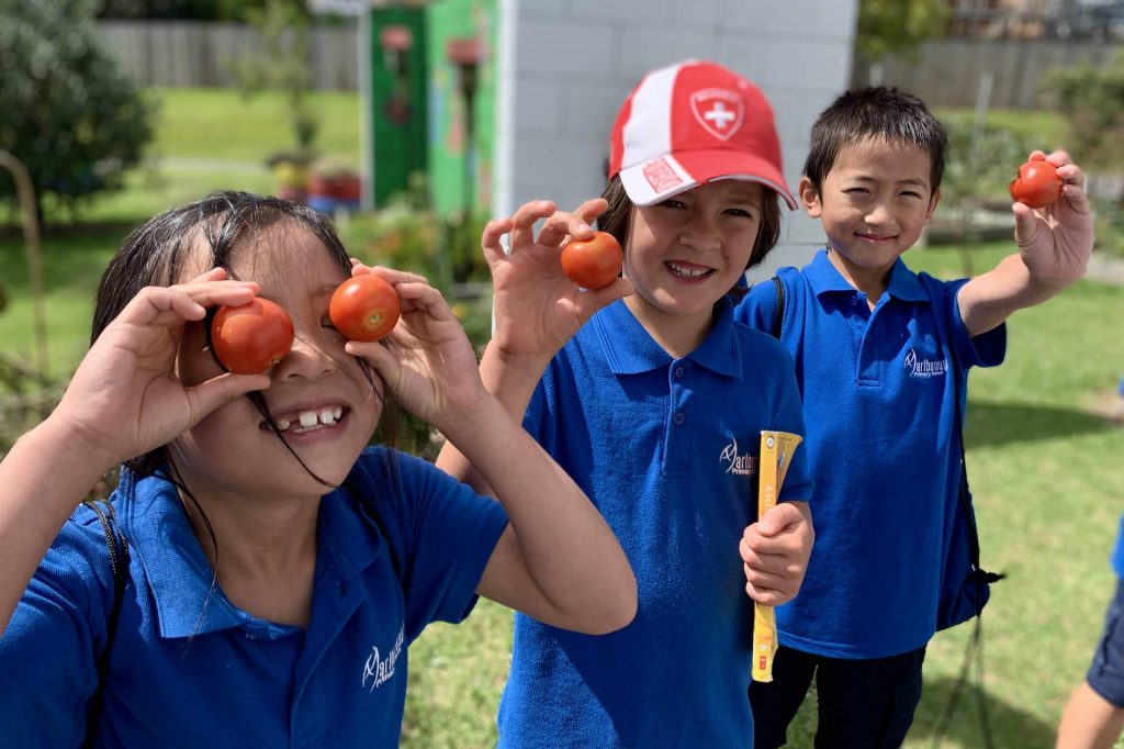 sustain 2 – Marlborough Primary School